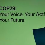 Outcomes of the COP29