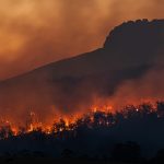 More than $8 million allocated in Bangladesh’s budget to combat climate change