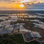 Debt crisis ‘major barrier’ to fossil fuel transition, global advocates warn