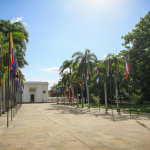 Global scientists launch new panel to steer fossil fuel phase-out