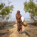 Saline drinking water puts one in five coastal Bangladeshis over 40 at elevated risk of heart disease, study finds